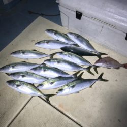 Monster Rush! 釣果