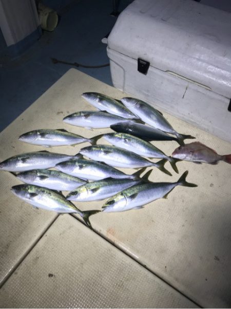 Monster Rush! 釣果