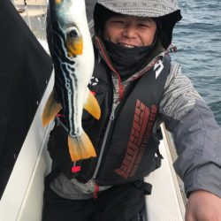 遊漁船メテオ 釣果