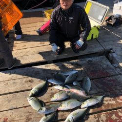 釣り堀水宝 釣果