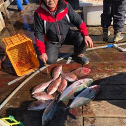 釣り堀水宝 釣果