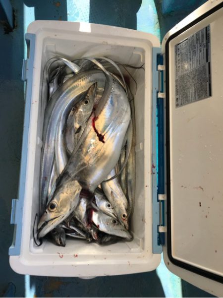 ヤザワ渡船 釣果