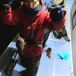 ヤザワ渡船 釣果