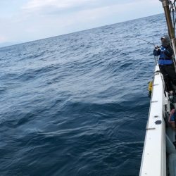 あみや渡船 JIGBOY 釣果