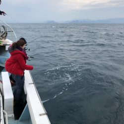 あみや渡船 JIGBOY 釣果