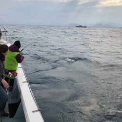 あみや渡船 JIGBOY 釣果