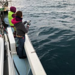 あみや渡船 JIGBOY 釣果