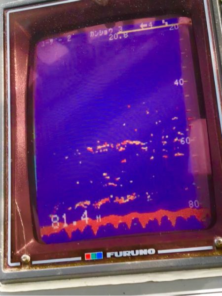 あみや渡船 JIGBOY 釣果