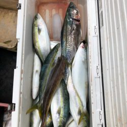 あみや渡船 JIGBOY 釣果