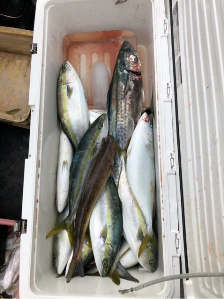 あみや渡船 JIGBOY 釣果