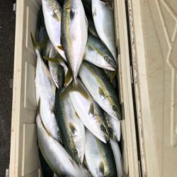 あみや渡船 JIGBOY 釣果