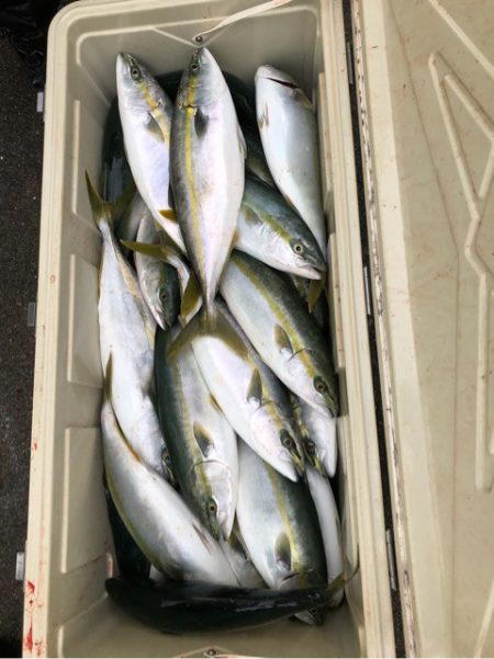 あみや渡船 JIGBOY 釣果