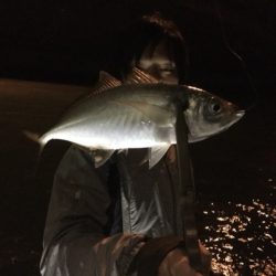 Monster Rush! 釣果