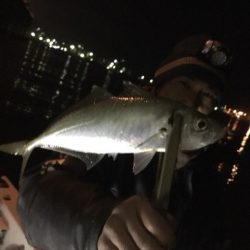 Monster Rush! 釣果