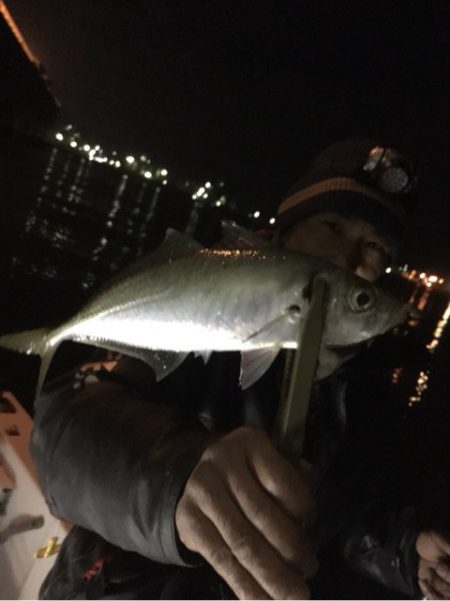 Monster Rush! 釣果