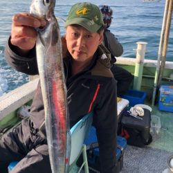 ヤザワ渡船 釣果