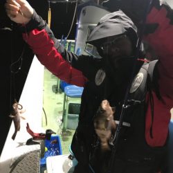 ヤザワ渡船 釣果