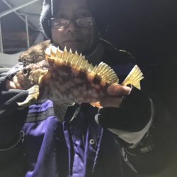 ヤザワ渡船 釣果