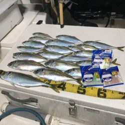 Monster Rush! 釣果