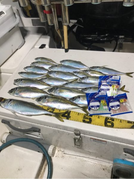 Monster Rush! 釣果