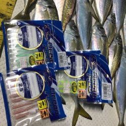 Monster Rush! 釣果