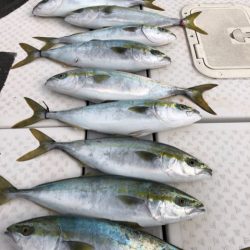 ビッグファイター 釣果