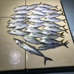 Monster Rush! 釣果