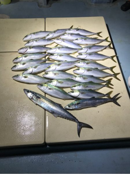 Monster Rush! 釣果