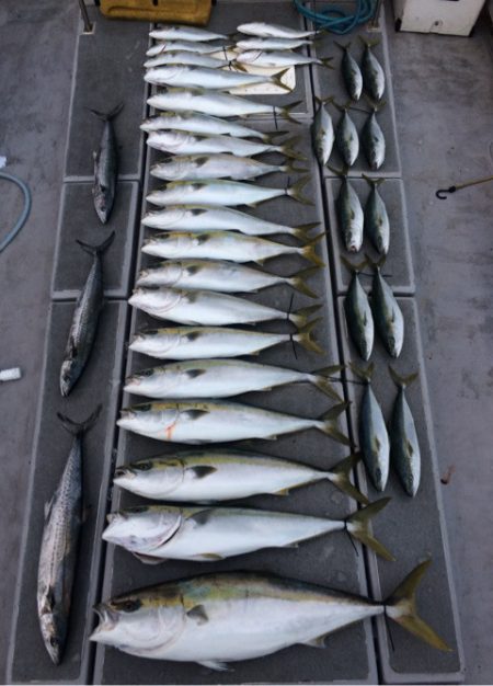 SeaRide(シーライド) 釣果