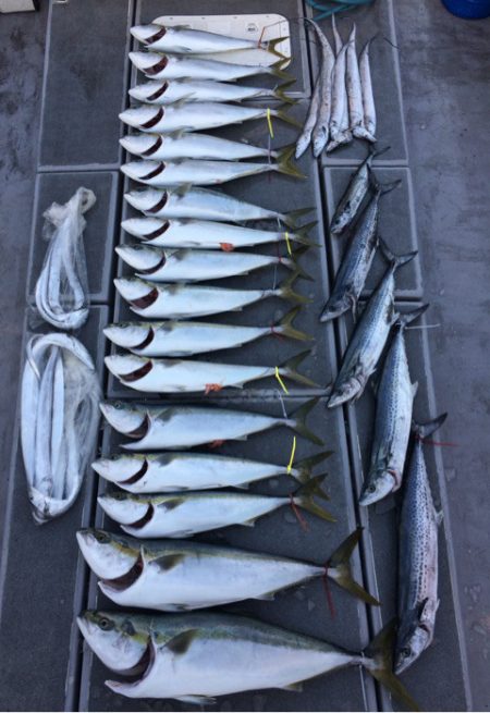 SeaRide(シーライド) 釣果