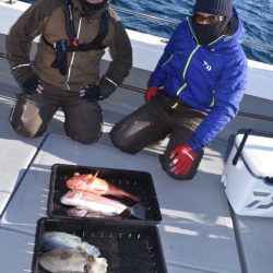 渡船屋たにぐち 釣果