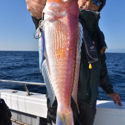 渡船屋たにぐち 釣果