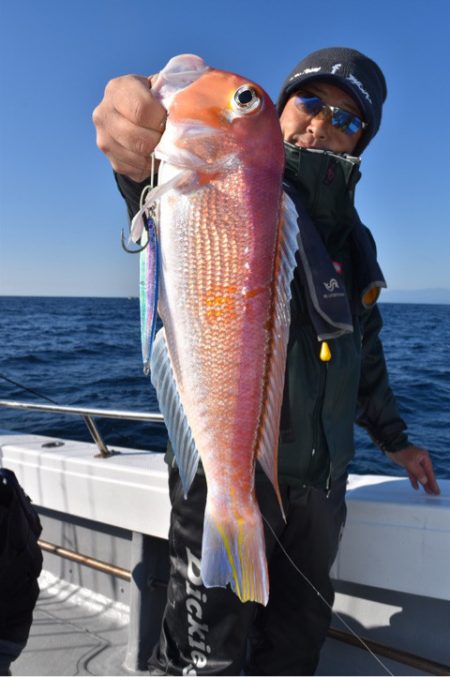 渡船屋たにぐち 釣果