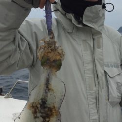 「LaGooN」蒼陽丸 日和号 釣果