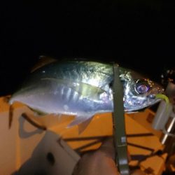 Monster Rush! 釣果