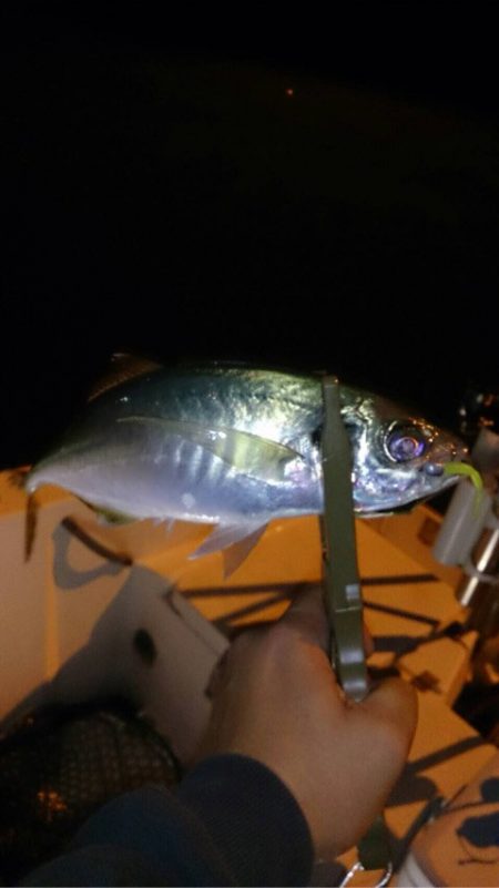 Monster Rush! 釣果