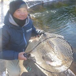 平谷湖フィッシングスポット 釣果