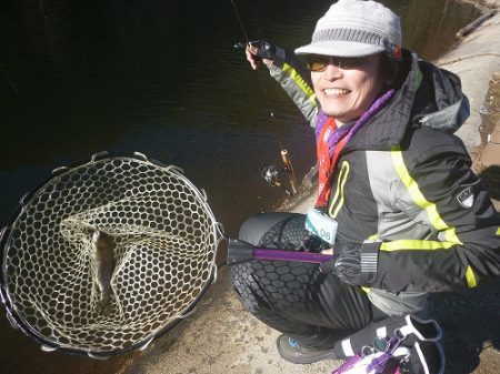 平谷湖フィッシングスポット 釣果