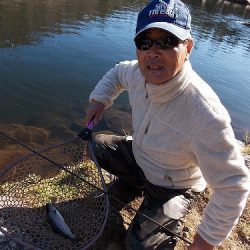 平谷湖フィッシングスポット 釣果