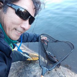 平谷湖フィッシングスポット 釣果