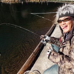 平谷湖フィッシングスポット 釣果