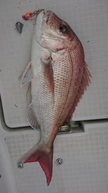 遊漁船　家入 釣果