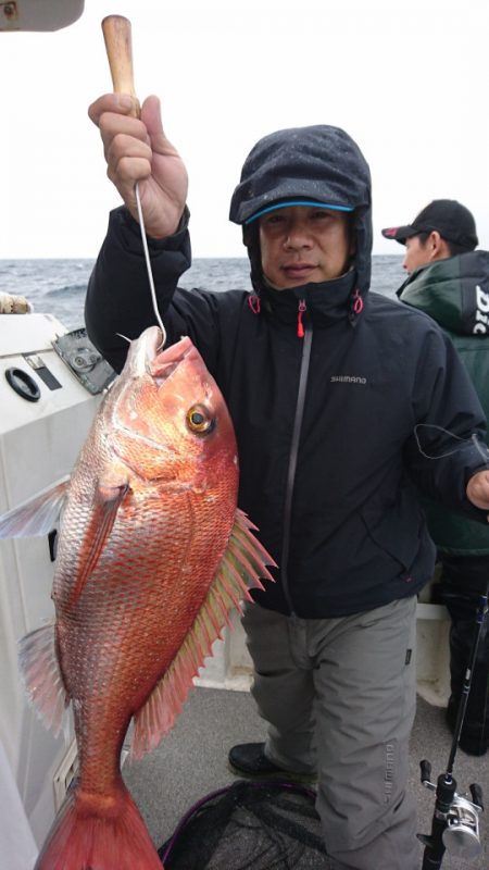 ARCADIAⅡ (アルカディアⅡ) 釣果