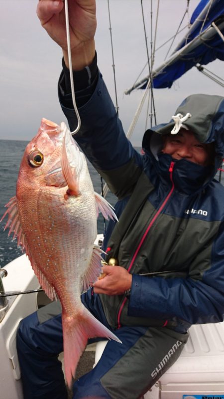 ARCADIAⅡ (アルカディアⅡ) 釣果