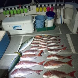 ARCADIAⅡ (アルカディアⅡ) 釣果