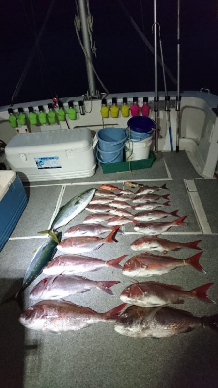 ARCADIAⅡ (アルカディアⅡ) 釣果