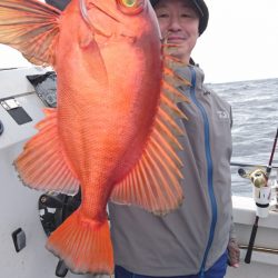 ARCADIAⅡ （アルカディアⅡ） 釣果