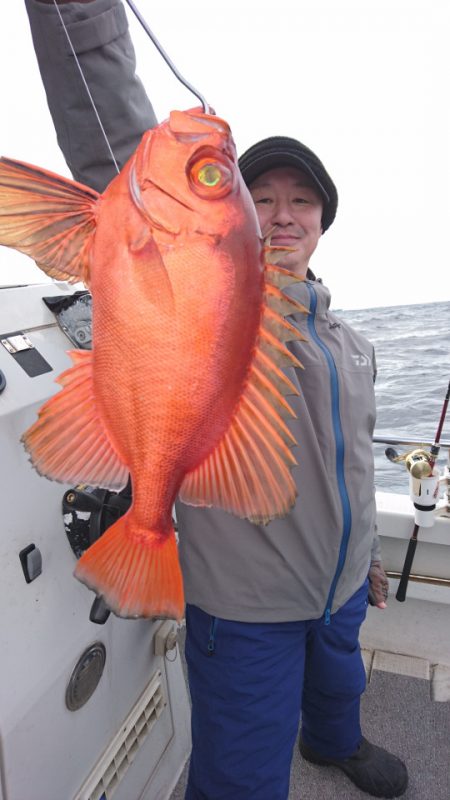 ARCADIAⅡ （アルカディアⅡ） 釣果