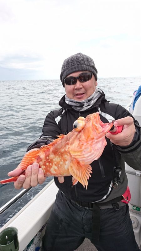 ARCADIAⅡ （アルカディアⅡ） 釣果