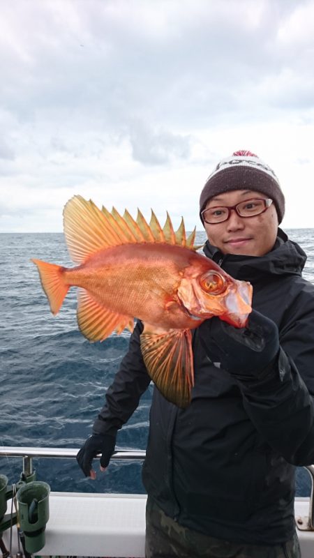 ARCADIAⅡ （アルカディアⅡ） 釣果